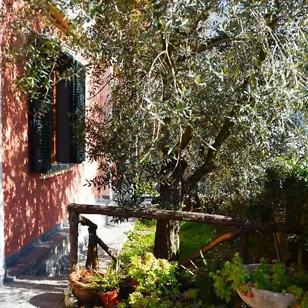 Appartement I Due Ulivi *